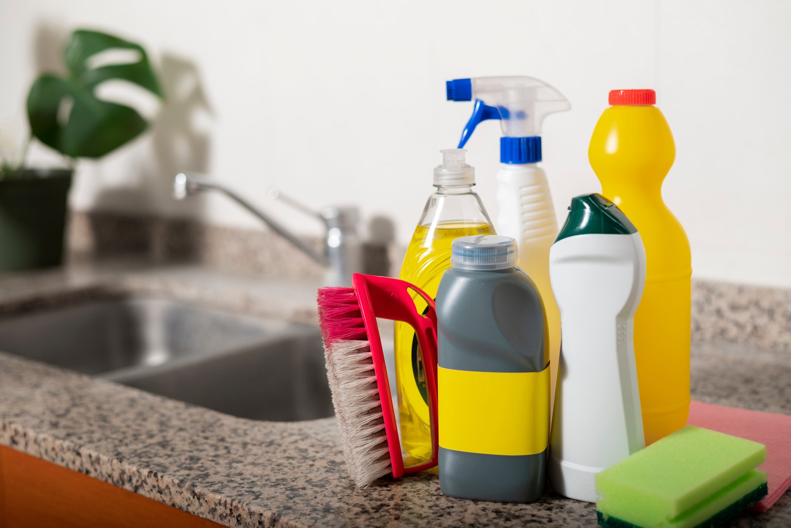 Sanitation & Cleaning